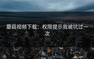 蘑菇视频下载：权限提示我被坑过一次