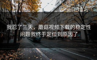 我忍了三天，蘑菇视频下载的稳定性问题我终于定位到原因了
