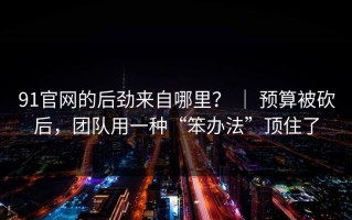 91官网的后劲来自哪里？ ｜ 预算被砍后，团队用一种“笨办法”顶住了